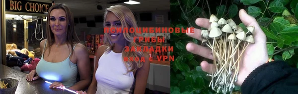 стаф Алексин